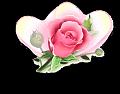 fleurs et nature (11)